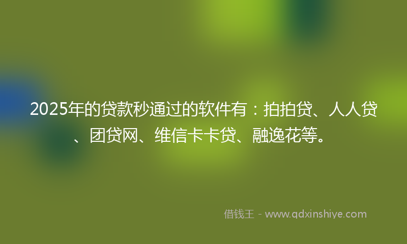 2025年的贷款秒通过的软件有：拍拍贷、人人贷、团贷网、维信卡卡贷、融逸花等。