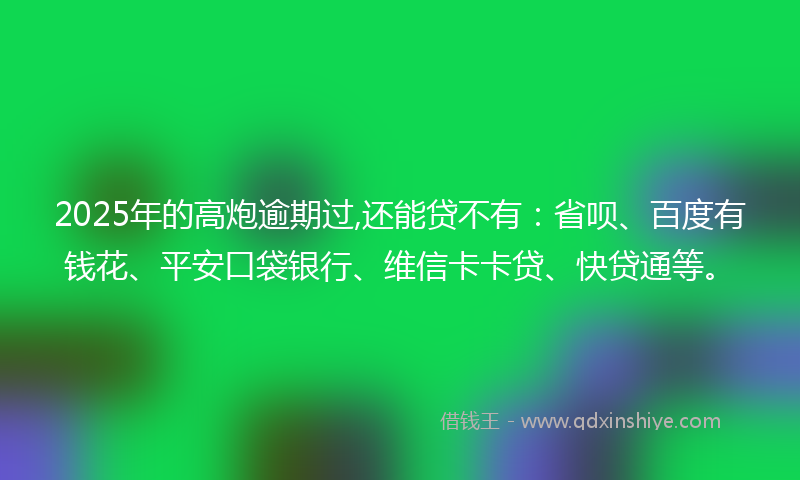 2025年的高炮逾期过,还能贷不有：省呗、百度有钱花、平安口袋银行、维信卡卡贷、快贷通等。