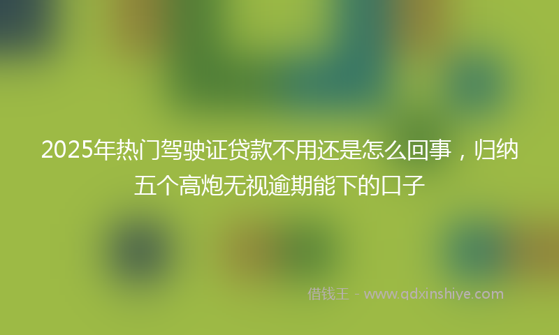 2025年热门驾驶证贷款不用还是怎么回事,归纳五个高炮无视逾期能下的口子
