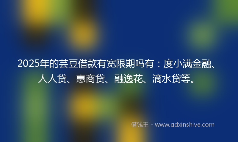 2025年的芸豆借款有宽限期吗有：度小满金融、人人贷、惠商贷、融逸花、滴水贷等。