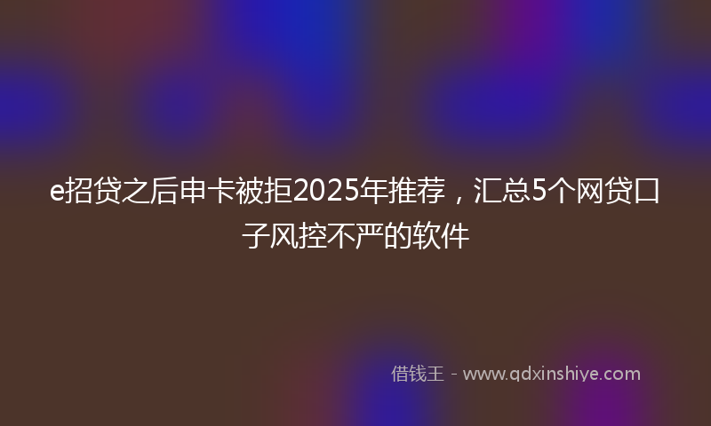 e招贷之后申卡被拒2025年推荐，汇总5个网贷口子风控不严的软件
