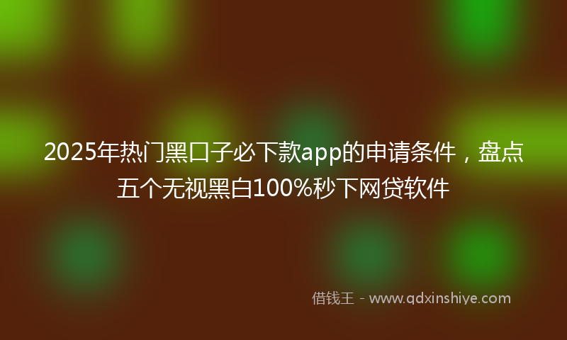 2025年热门黑口子必下款app的申请条件，盘点五个无视黑白100%秒下网贷软件