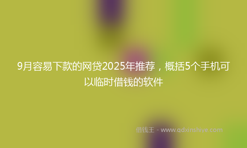 9月容易下款的网贷2025年推荐，概括5个手机可以临时借钱的软件