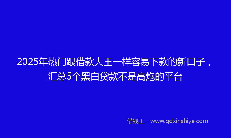 2025年热门跟借款大王一样容易下款的新口子，汇总5个黑白贷款不是高炮的平台