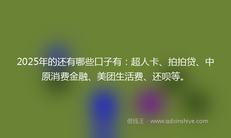 2025年的还有哪些口子有：超人卡、拍拍贷、中原消费金融、美团生活费、还呗等。