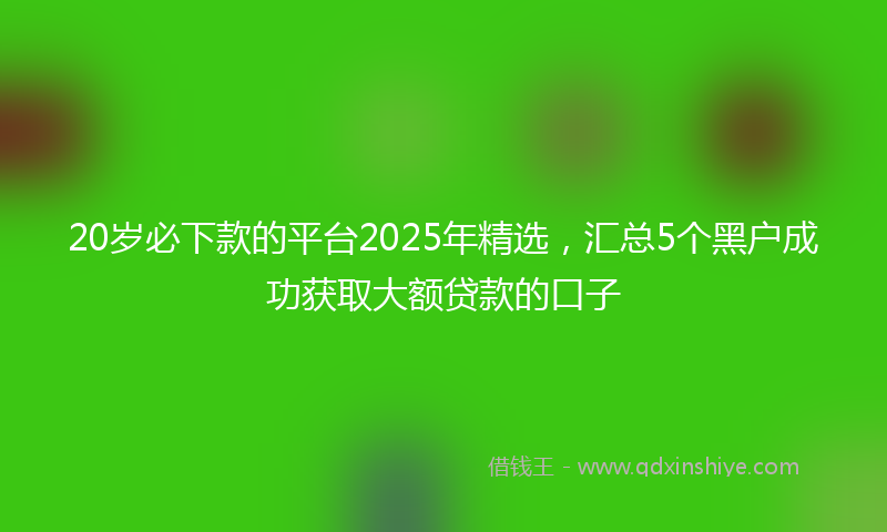 20岁必下款的平台2025年精选，汇总5个黑户成功获取大额贷款的口子