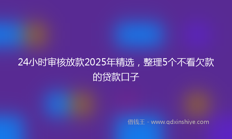 24小时审核放款2025年精选，整理5个不看欠款的贷款口子