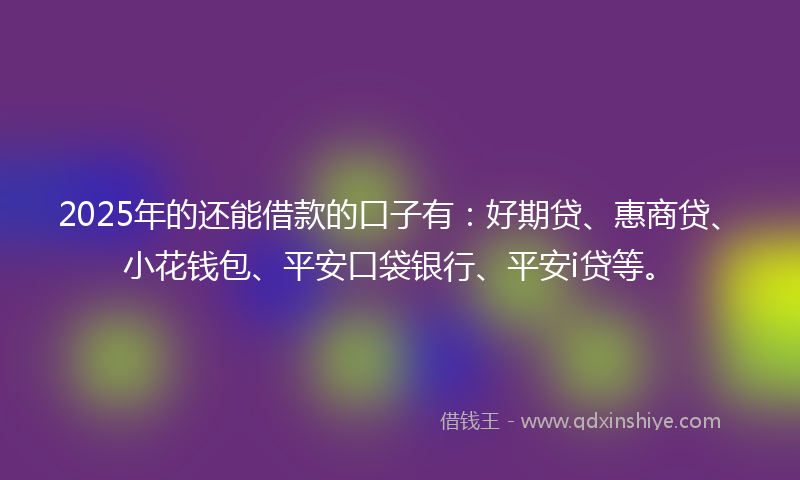 2025年的还能借款的口子有：好期贷、惠商贷、小花钱包、平安口袋银行、平安i贷等。