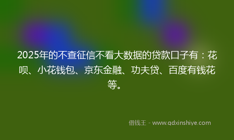 2025年的不查征信不看大数据的贷款口子有：花呗、小花钱包、京东金融、功夫贷、百度有钱花等。
