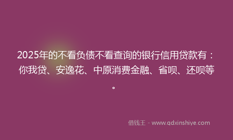 2025年的不看负债不看查询的银行信用贷款有：你我贷、安逸花、中原消费金融、省呗、还呗等。