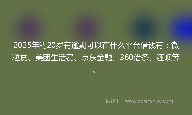 2025年的20岁有逾期可以在什么平台借钱有：微粒贷、美团生活费、京东金融、360借条、还呗等。