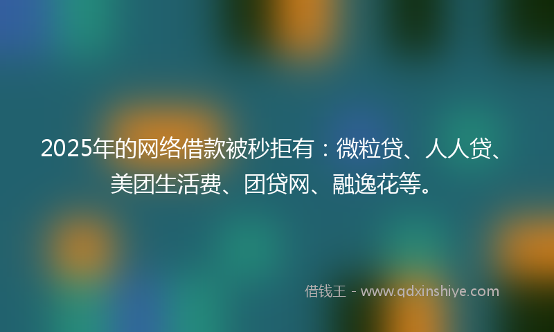 2025年的网络借款被秒拒有：微粒贷、人人贷、美团生活费、团贷网、融逸花等。