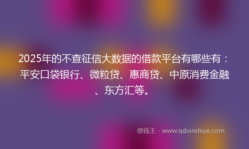2025年的不查征信大数据的借款平台有哪些有：平安口袋银行、微粒贷、惠商贷、中原消费金融、东方汇等。
