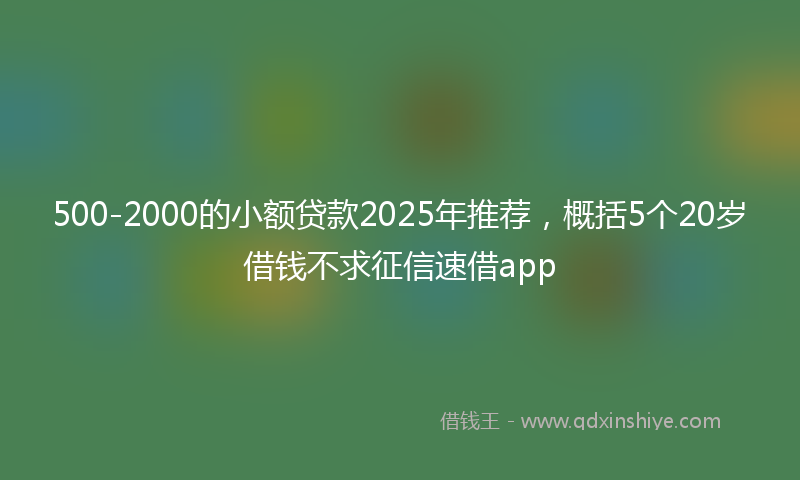 500-2000的小额贷款2025年推荐，概括5个20岁借钱不求征信速借app