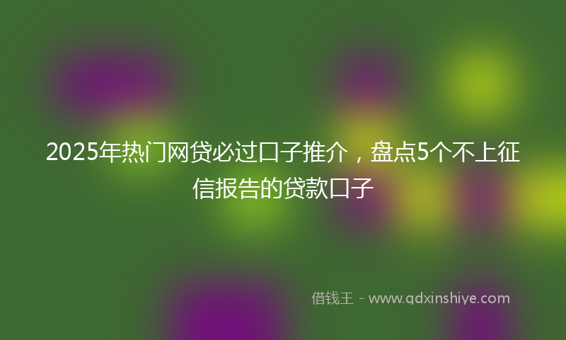 2025年热门网贷必过口子推介，盘点5个不上征信报告的贷款口子