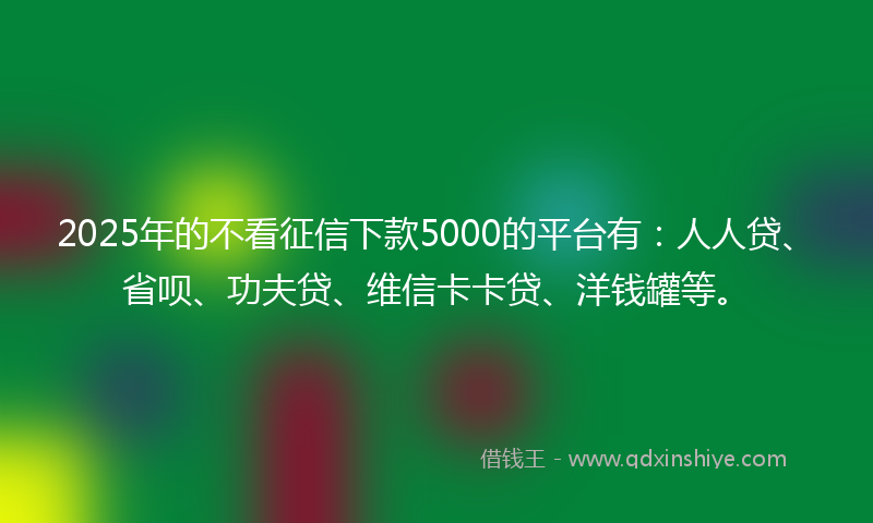 2025年的不看征信下款5000的平台有：人人贷、省呗、功夫贷、维信卡卡贷、洋钱罐等。