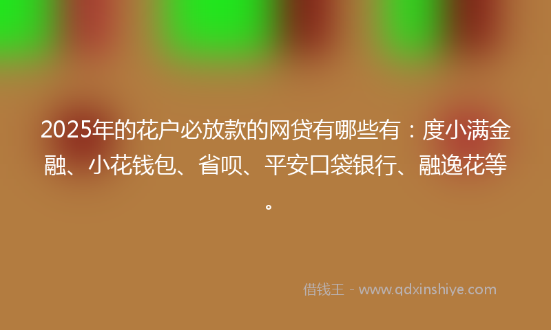 2025年的花户必放款的网贷有哪些有：度小满金融、小花钱包、省呗、平安口袋银行、融逸花等。