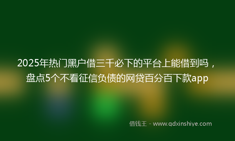 2025年热门黑户借三千必下的平台上能借到吗,盘点5个不看征信负债的网贷百分百下款app