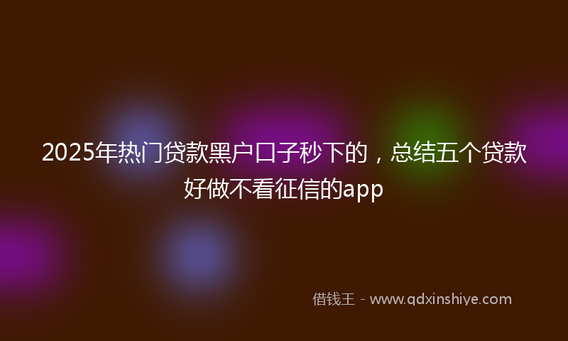 2025年热门贷款黑户口子秒下的，总结五个贷款好做不看征信的app
