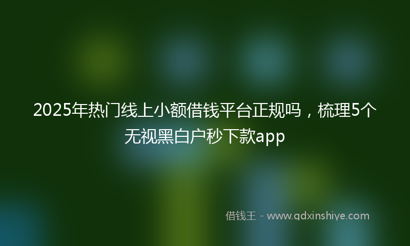 2025年热门线上小额借钱平台正规吗，梳理5个无视黑白户秒下款app