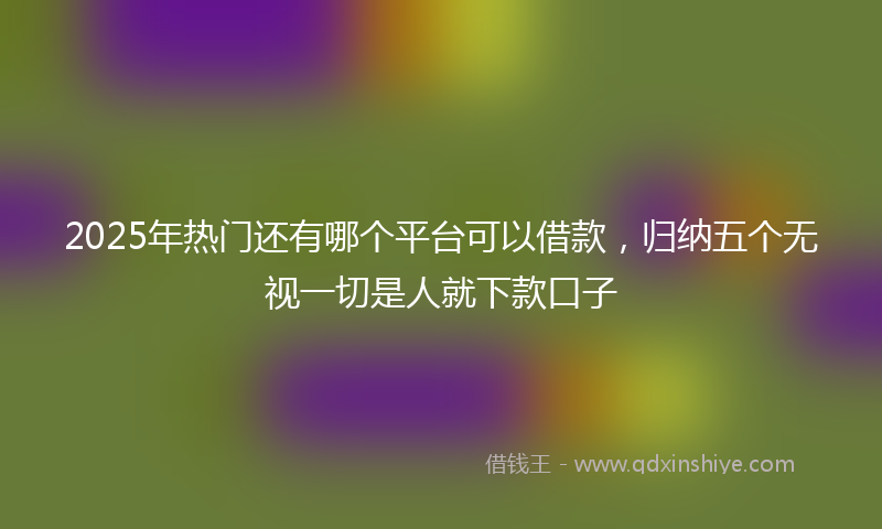 2025年热门还有哪个平台可以借款，归纳五个无视一切是人就下款口子