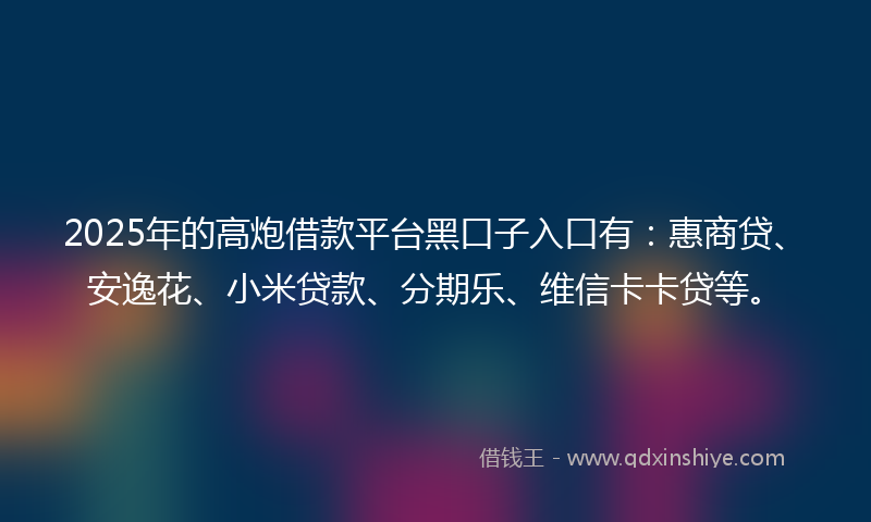 2025年的高炮借款平台黑口子入口有：惠商贷、安逸花、小米贷款、分期乐、维信卡卡贷等。