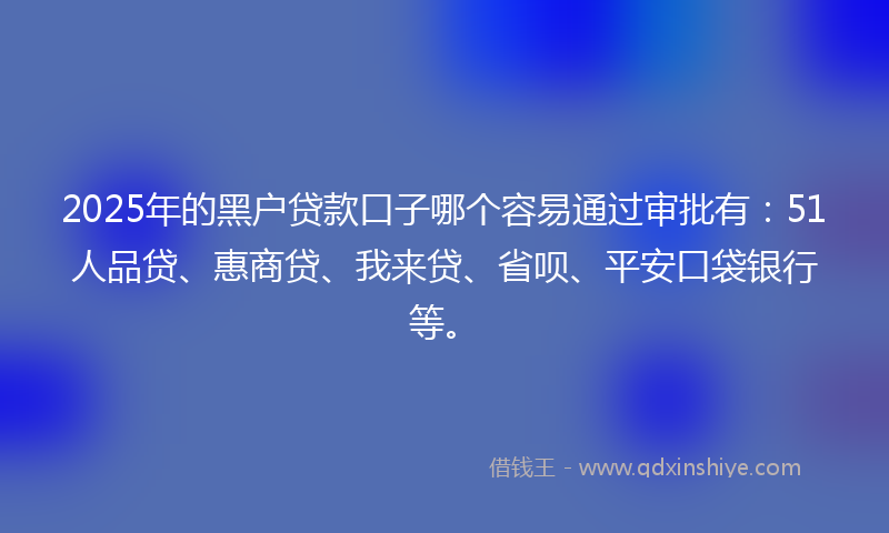 2025年的黑户贷款口子哪个容易通过审批有：51人品贷、惠商贷、我来贷、省呗、平安口袋银行等。