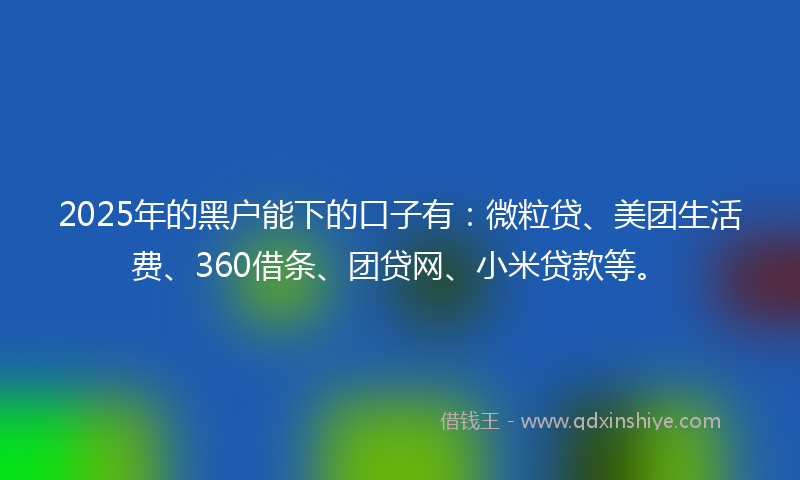 2025年的黑户能下的口子有：微粒贷、美团生活费、360借条、团贷网、小米贷款等。