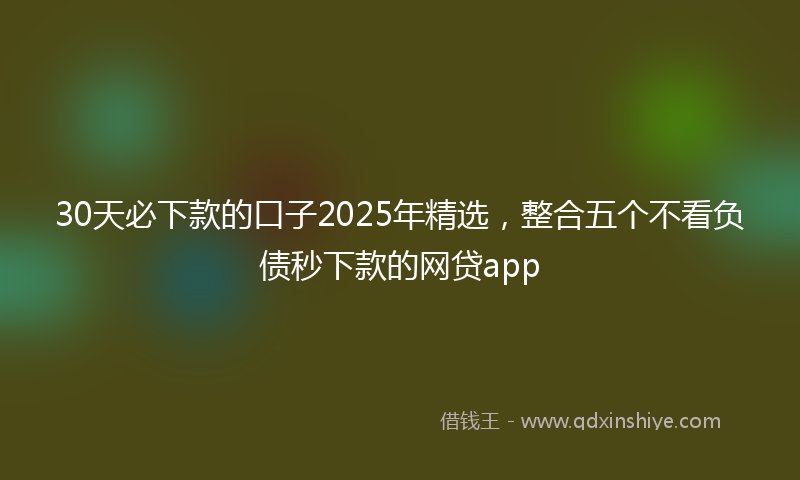 30天必下款的口子2025年精选,整合五个不看负债秒下款的网贷app