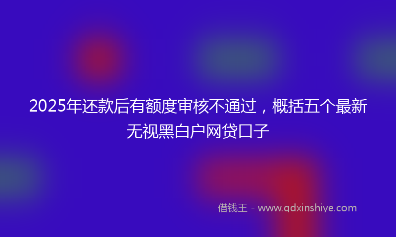2025年还款后有额度审核不通过，概括五个最新无视黑白户网贷口子