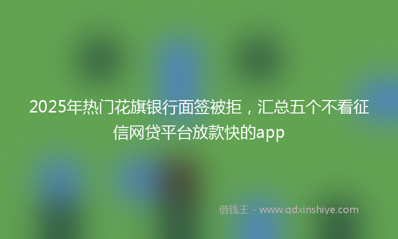 2025年热门花旗银行面签被拒，汇总五个不看征信网贷平台放款快的app