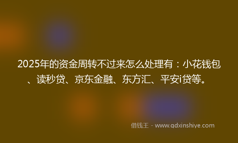 2025年的资金周转不过来怎么处理有：小花钱包、读秒贷、京东金融、东方汇、平安i贷等。