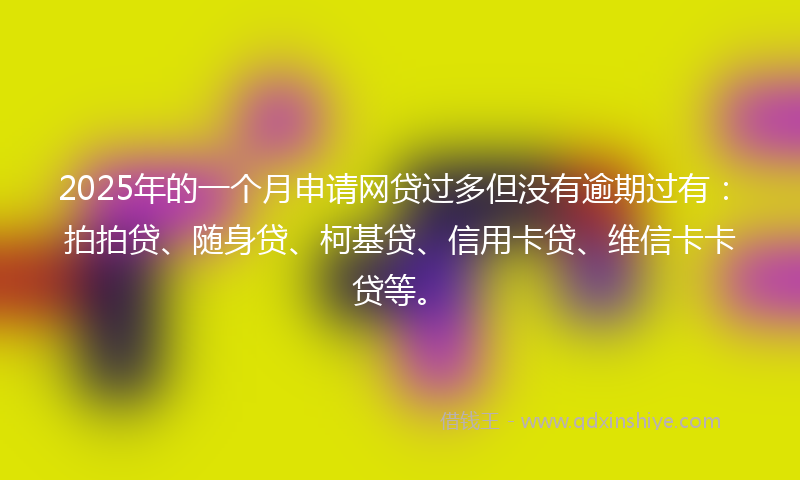 2025年的一个月申请网贷过多但没有逾期过有：拍拍贷、随身贷、柯基贷、信用卡贷、维信卡卡贷等。