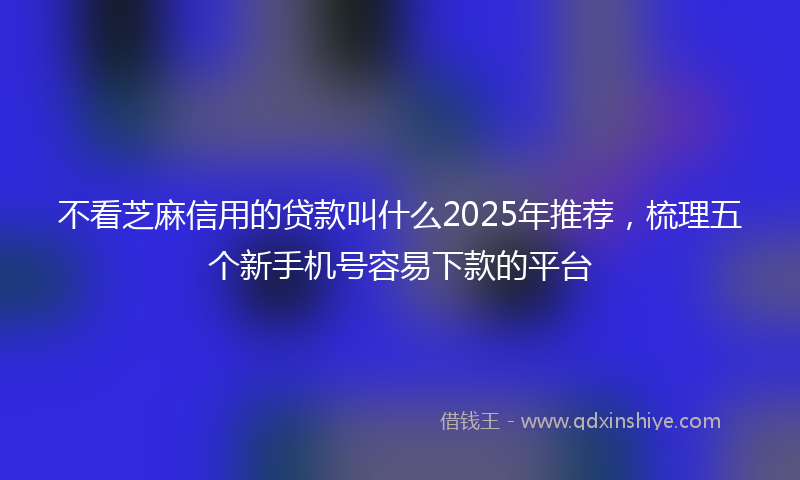 不看芝麻信用的贷款叫什么2025年推荐，梳理五个新手机号容易下款的平台