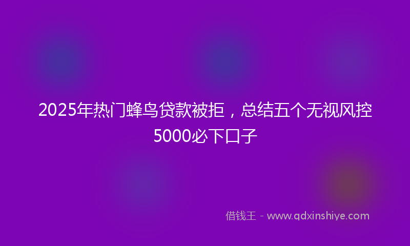 2025年热门蜂鸟贷款被拒，总结五个无视风控5000必下口子