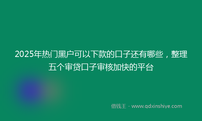 2025年热门黑户可以下款的口子还有哪些,整理五个审贷口子审核加快的平台