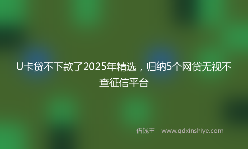 U卡贷不下款了2025年精选，归纳5个网贷无视不查征信平台