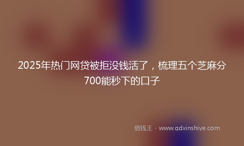 2025年热门网贷被拒没钱活了，梳理五个芝麻分700能秒下的口子