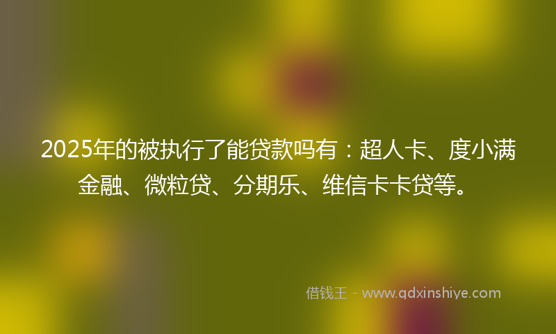2025年的被执行了能贷款吗有：超人卡、度小满金融、微粒贷、分期乐、维信卡卡贷等。