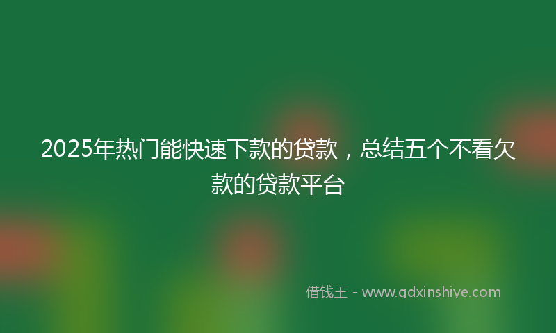 2025年热门能快速下款的贷款，总结五个不看欠款的贷款平台