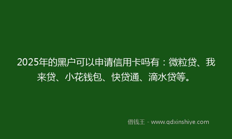 2025年的黑户可以申请信用卡吗有：微粒贷、我来贷、小花钱包、快贷通、滴水贷等。