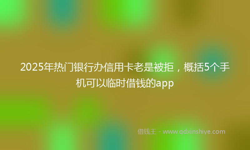 2025年热门银行办信用卡老是被拒，概括5个手机可以临时借钱的app