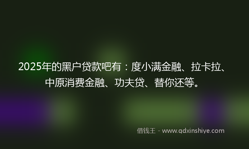 2025年的黑户贷款吧有：度小满金融、拉卡拉、中原消费金融、功夫贷、替你还等。
