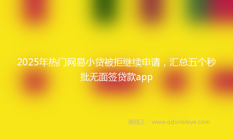 2025年热门网易小贷被拒继续申请，汇总五个秒批无面签贷款app