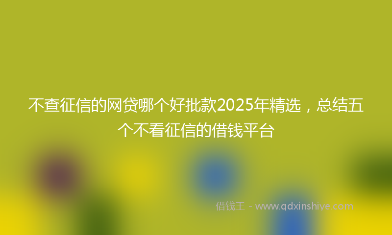 不查征信的网贷哪个好批款2025年精选，总结五个不看征信的借钱平台