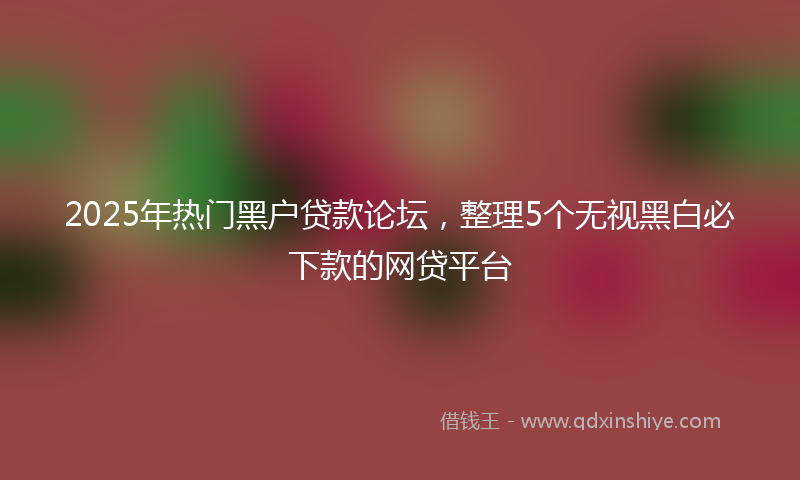 2025年热门黑户贷款论坛，整理5个无视黑白必下款的网贷平台