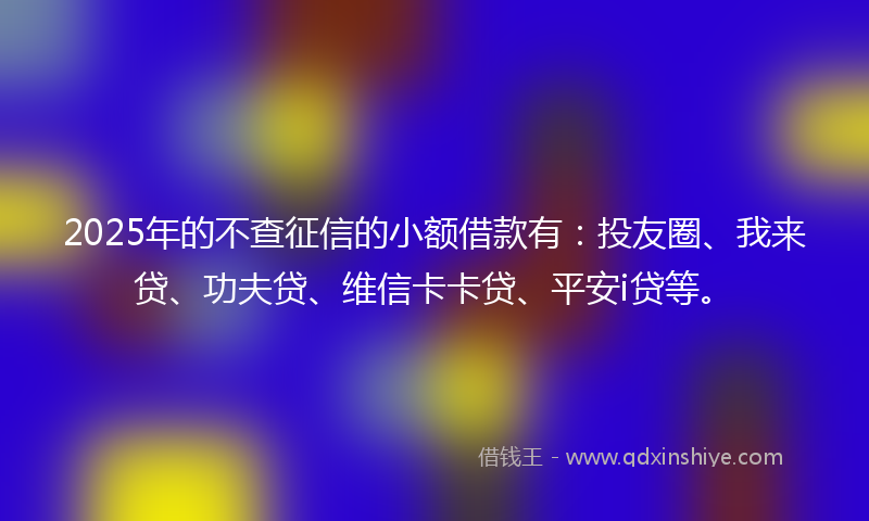 2025年的不查征信的小额借款有：投友圈、我来贷、功夫贷、维信卡卡贷、平安i贷等。