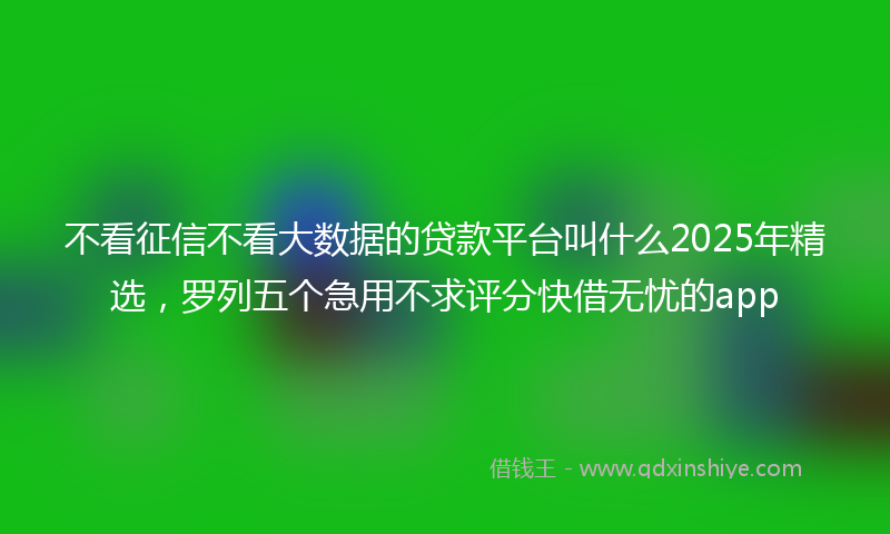 不看征信不看大数据的贷款平台叫什么2025年精选，罗列五个急用不求评分快借无忧的app