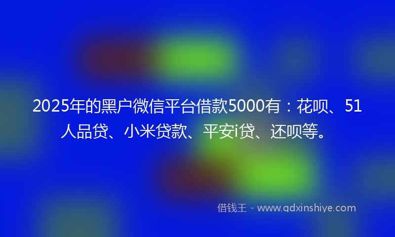 2025年的黑户微信平台借款5000有：花呗、51人品贷、小米贷款、平安i贷、还呗等。