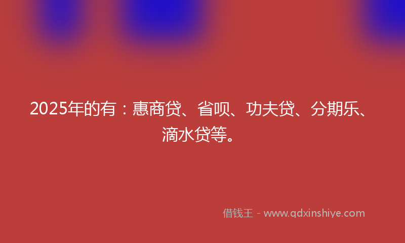2025年的有：惠商贷、省呗、功夫贷、分期乐、滴水贷等。